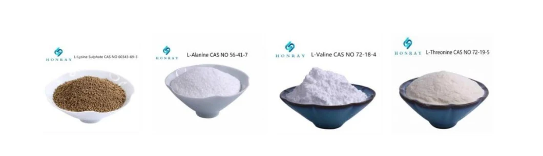 Amino Acid Factory Supply White Powder L-Cysteine