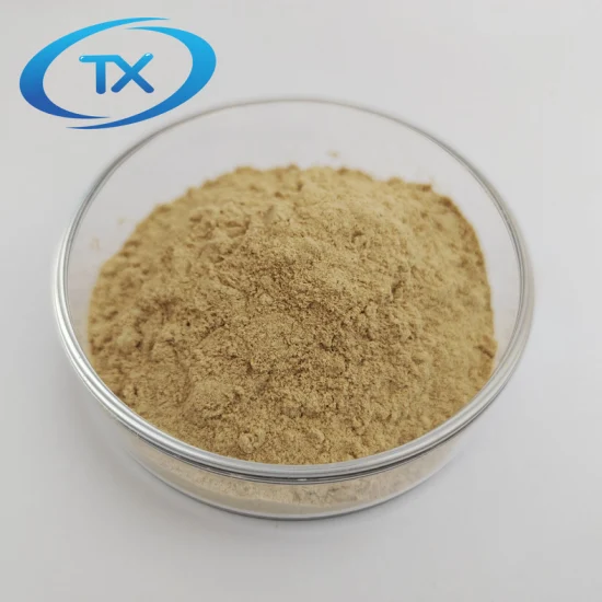 Inactive Spray Dried Beer Yeast Powder for Animal Feed Additive